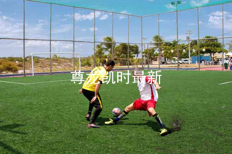 尊龙凯时最新